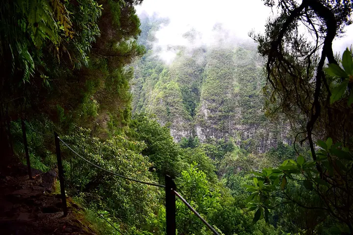 Trilho estreito ao lado da Levada do Caldeirão Verde, entre a vegetação da Laurissilva