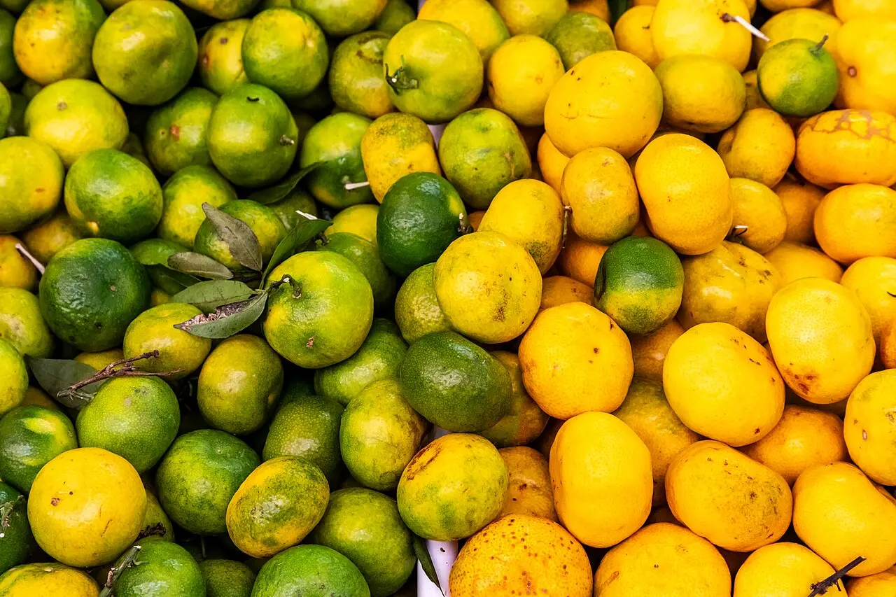 Bancas de fruta tropical no Mercado dos Lavradores, no Funchal